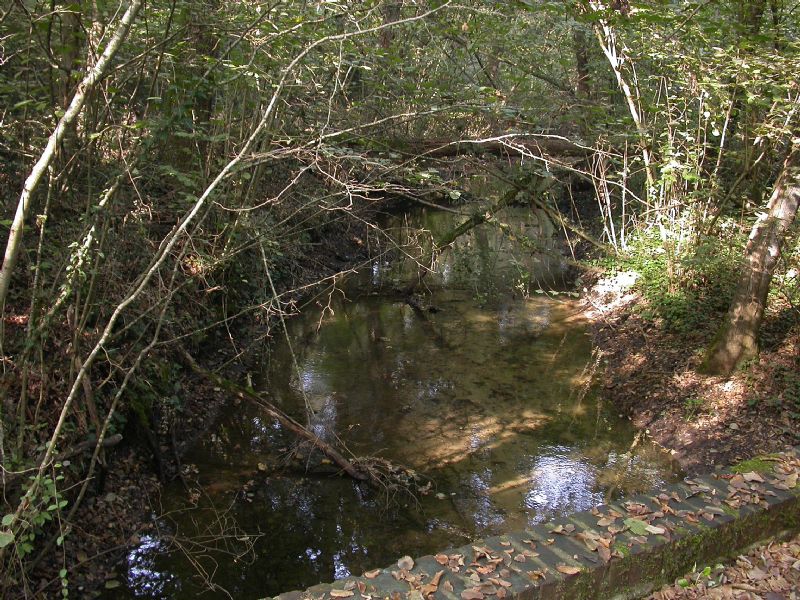 Bosco della Fontana